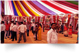 IMG-0011